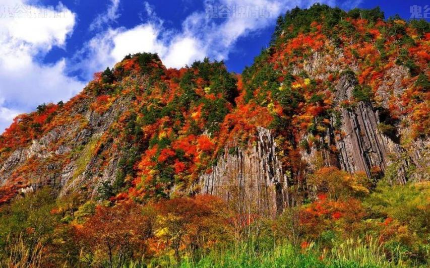 [风景壁纸]满山红叶迷人自然风景壁纸