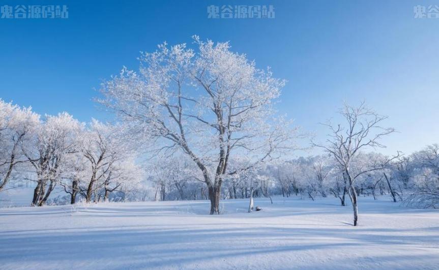 [风景壁纸]冬天树林雪景自然风景桌面壁纸