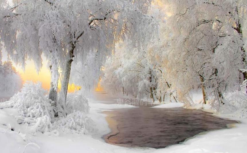 [风景壁纸]银树河流冬季雪景桌面壁纸